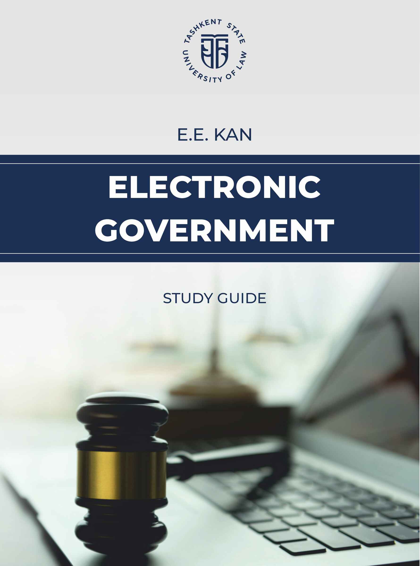 Electronic Government